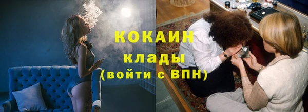 гидропоника Бородино