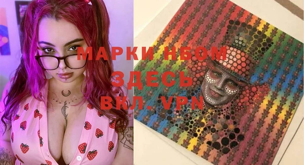 молекула духа Богданович
